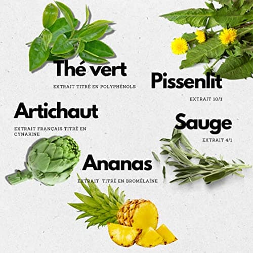 Detox • Diurétique • Draineur • Régime • Programme de 15 jours • Thé vert, Artichaut, Pissenlit, Sauge, Ananas - Bromelaine • 3 usines en France • 30 ans d'expertise • Laboratoire SYSNAT