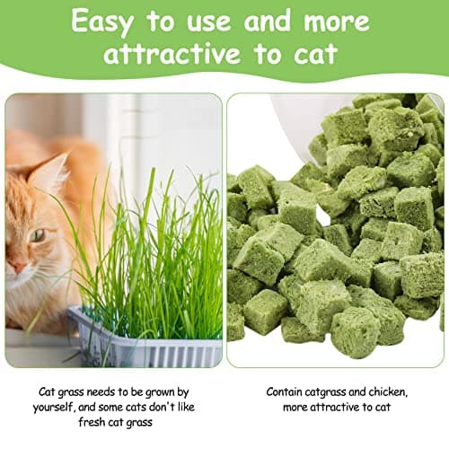 Collations pour Chats Herbe à Chat, 60g Snack pour Chat Lyophilisé pour Le Nettoyage des Dents