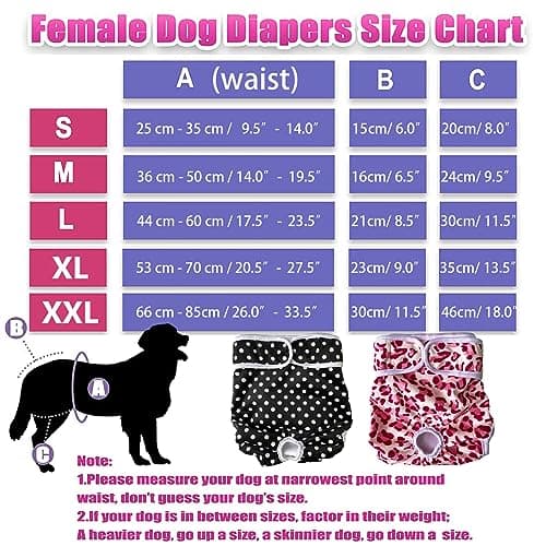 LeerKing Couche pour Chien Femelle Lavable Lot de 2 Réutilisables Culottes Hygiéniques Très Absorbantes Incontinence Périodes Physiologiques Léopard et Pois S