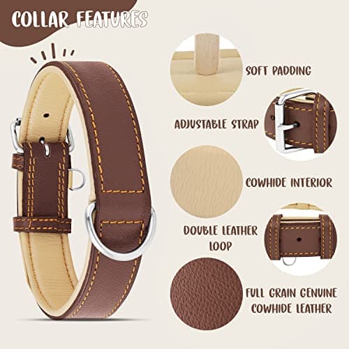 Riparo Collier pour Chien en Cuir véritable (Marron, L: 3,8 cm de Large pour 45,7 cm - 53,3 cm de Cou)