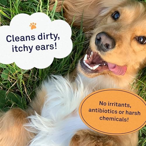 Petpost | Lingettes nettoyantes pour oreilles de chien – Tampons en coton ultra doux XL dans une solution d'huile de noix de coco et d'aloès – Remède pour le rinçage et le nettoyant d'oreille de chien