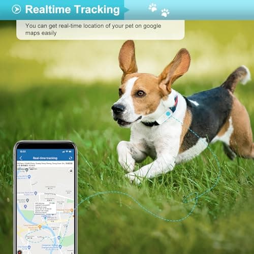 Collier GPS pour Chien sans Abonnement,Traceur GPS Chien avec Clôture de Sécurité Suivi en Temps réel de Compagnie étanche Alarme Sonore et Lumineuse TK911Pro