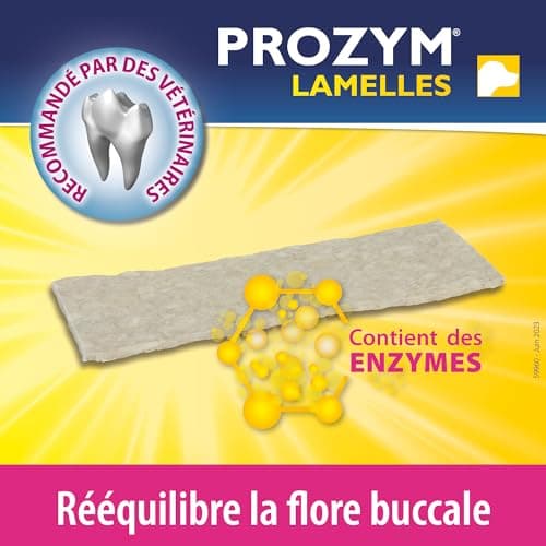 PROZYM Pack 2x15 Lamelles pour Chiens - Soin Dentaire à mâcher - N°1 chez Les vétérinaires - Haleine fraîche - Anti-tartre - Anti-Plaque - Gencives saines - 30 Lamelles (L)