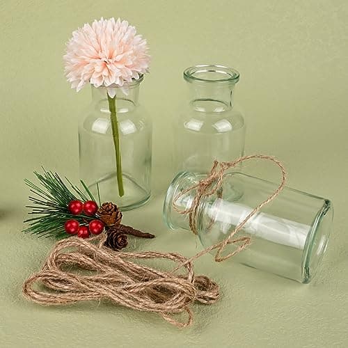Glovios Petits Vase en Verre Lot de 12 Mini vases en Verre Transparent Vase Mariage 10,3cm de Haut Mini Vase decoratif avec de la 5m Ficelle de Jute soliflore en Verre Petits Vase Fleur Deco Table