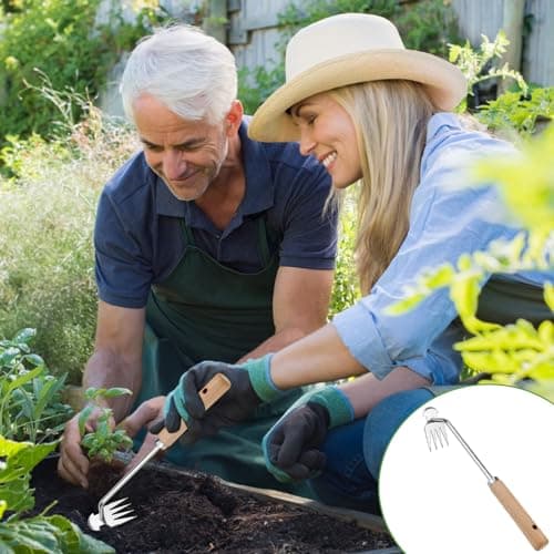 ADERTOS Outil de Désherbage Manuel Désherbeur À Main Outils Arrache Mauvaise Herbes Jardinage Outils de Désherbage Manuel de Jardinage Outil de Désherbage Manuel à 4 Dents Extracteur Mauvaises Herbes