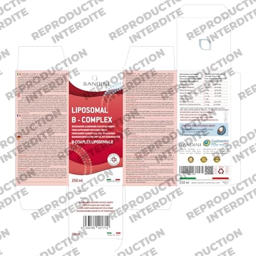 Bandini® Vitamine B Complex Liposomale 250 ml | Supplément liposomique | Complexe de Vitamines group B à dosage élevé B1, B2, B3 (niacine), B5, B6, B7, B9, B12 | B-Complex pour le système immunitaire
