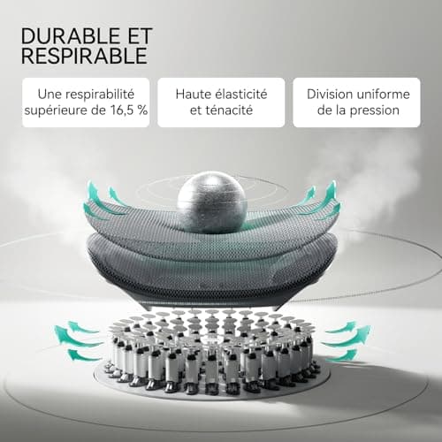 Hbada E3 Pro Chaise de Bureau Ergonomique, Fauteuil de Bureau avec Repose Pieds - avec Support Lombaire Dynamique à 3 Zones, Appui-tête Réglable en 4D, Accoudoirs Réglables en 6D, Gris