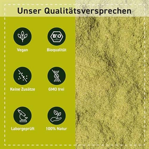 Brahmi bio en poudre - 250g - Bacopa Monnieri - Hysope d’eau - Végan - Ayurveda - Garanti sans additifs - Poudre de Brahmi - Conditionné en Allemagne - Biotiva