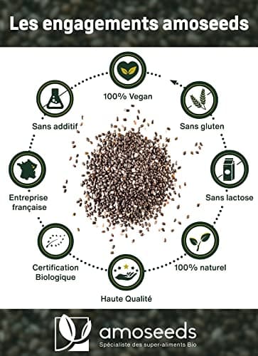 Graines de Chia Bio 1KG | Sources de Protéines, Oméga 3, Fibres | Salvia Hispanica | Qualité Supérieure