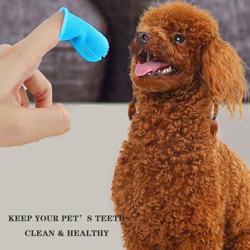 GWAWG 4Pièces Brosse a Dent pour Chien,Brosse a Dent Chien Silicone, Brosse a Dent Chat, Réutilisable Avec Boîte