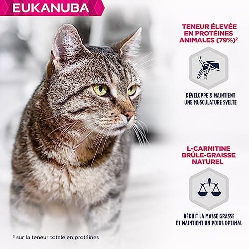 EUKANUBA Grain Free Croquettes pour Chat Senior - Riche en saumon - Apport en L-carnitine - Enrichie en taurine, Sans OGM, colorants, arômes artificiels - 10 kg
