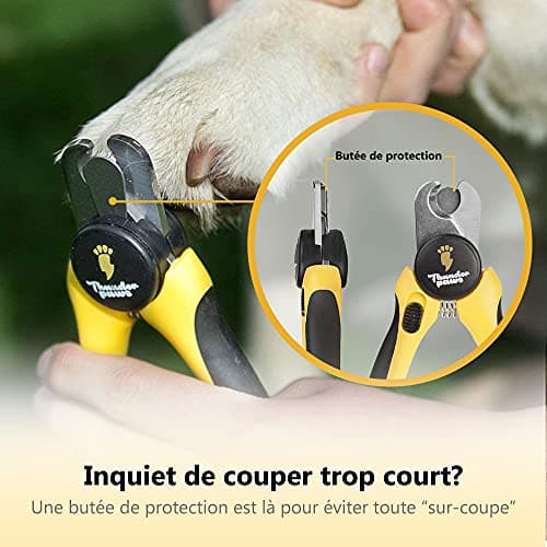 Thunderpaws Coupe-griffes professionnel pour chien avec dispositif de protection, fermeture de sécurité et lime-griffes - Convient pour les races de chiens de taille moyenne et grande