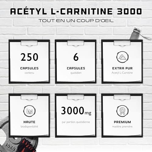 Acetyl L-Carnitine 3000 avec 250 gélules - 3000 mg par portion quotidienne - Premium : L-Carnitine sous forme d'acétyle - hautement dosée - Vegan