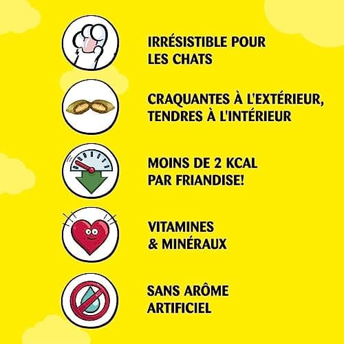 Catisfactions Friandises pour Chat – Saveur Herbe à Chat – Récompenses pour Chats Adultes et Chatons – 60 g (Lot de 6)