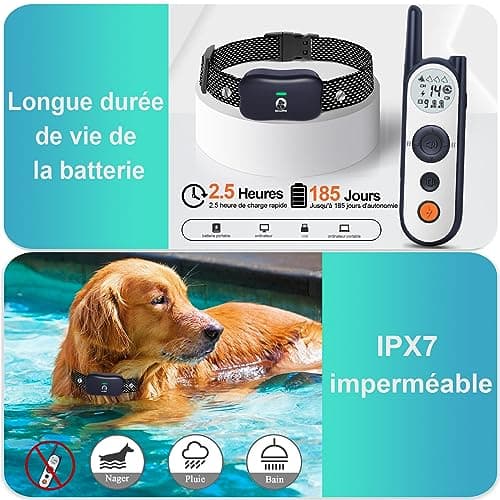 Clôture Électronique pour Chien,8M à 1050M Ajustable Clôture avec Télécommande de Dressage,Résistant à L’Eau Collier de Dressage pour Chiens de Moyennes et Grandes