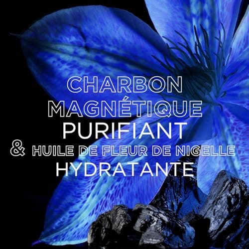 Garnier Ultra Doux - Shampooing Hydratant & Équilibrant au Charbon Magnétique & Fleur de Nigelle - Pour Cheveux Normaux à Gras - 250 ml