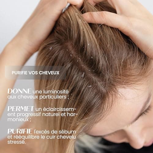 Senso Naturale Shampoing Solide Détox Purifiant Antipelliculaire et Dermatite Séborrhéique, pour Cheveux Gras avec Charbon Végétal Tea Tree Gingembre Huile de Coco, ne Sèche les Longueurs, PH 4.5-5.0