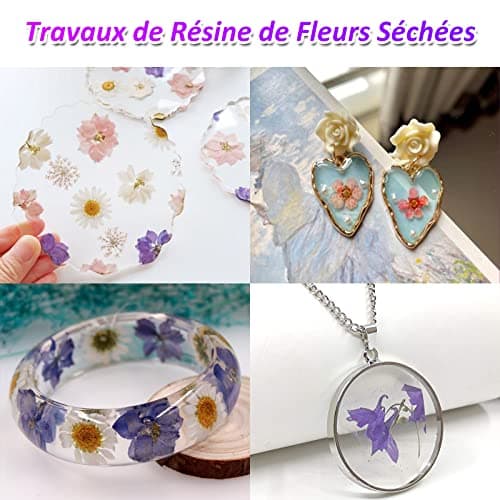 VEGCOO 110 Pièces Fleurs Séchées, Ensemble de Fleurs Séchées Naturelles Bricolage, Fleurs Naturelles Multicolores Pressées pour Bricolage Résine Bijoux Maquillage Habiller Nail Art Décorations