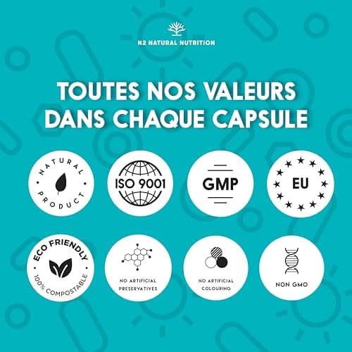 Probiotique Flore Intestinale avec inuline pour une efficacité maximale. Ferments Lactiques. Lactobacillus rhamnosus. 40 Milliards de Bactéries UFC/jour. 6 souches. 60 Capsules. N2 Natural Nutrition