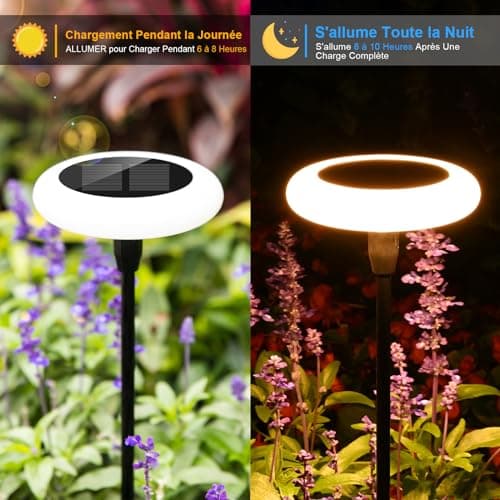 Carastek Lampe Solaire Exterieur 4 Pièces Blanc Chaud Lampe Solaire LED Extérieur Jardin IP65 Étanche Lampes de Jardin avec Extra brillantes 34 lumens pour Passerelle,Balcon, Decoration de Fête