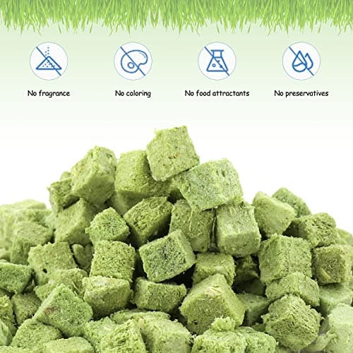 Collations pour Chats Herbe à Chat, 60g Snack pour Chat Lyophilisé pour Le Nettoyage des Dents