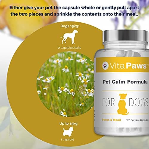 Formule Calmante pour Chien | Formule Naturel avec des extraits de Gingembre & Camomille | 120 Gélules |SimplySupplements