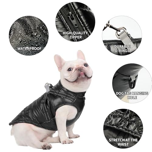 Manteau d'hiver Chaud pour Chien, Coupe-Vent Imperméable pour Chien, Gilet d'hiver pour Chien Veste d'hiver pour Petit Chien Manteau pour Chien Chiot avec Harnais(Noir L)