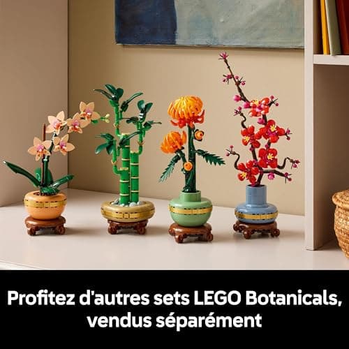 LEGO Botanique L’orchidée Miniature - Fleurs artificielles pour Adulte - Plante d'intérieur avec Pot Style Terracotta - Décoration intérieure - Idée Cadeau pour la St Valentin, Femme ou Homme 10343