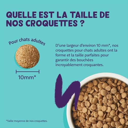 Edgard & Cooper Croquettes Chat Stérilisé, Adulte, (Dinde & Poulet, 2kg), Viande fraîche et protéines de qualité, Vrais ingrédients pour chat, croquettes pour chat stérilisé et actif