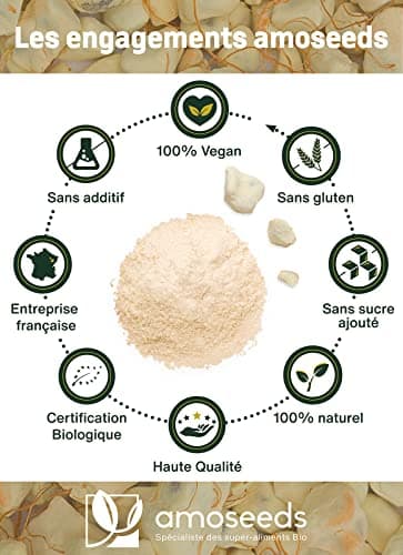 Poudre de Baobab Bio 500G | Énergie, Articulations, Belle Peau, Immunité | Qualité Supérieure