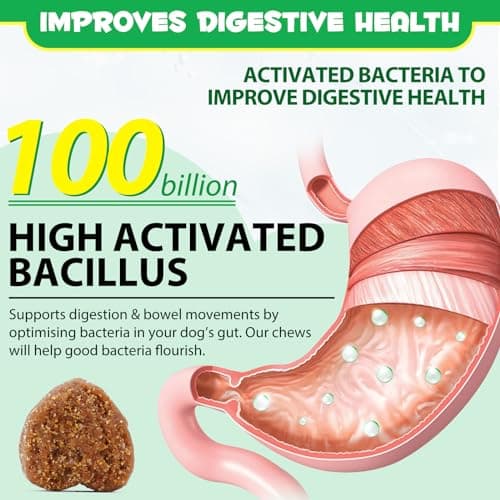 Probiotiques pour Chiens,Probiotique Doux à mâcher pour Chiens Enzymes digestives,Santé intestinale,Équilibre des levures, Système immunitaire et Soutien de la santé Globale (30 Soft Chews)