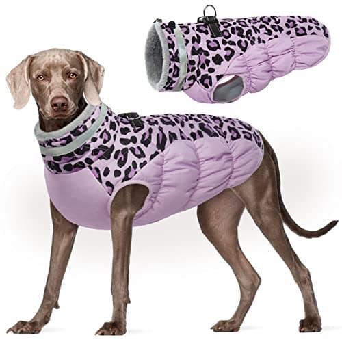 Kuoser Manteau d'hiver pour Chien Imperméable et Chaud - Gilet Réfléchissant pour Chiot avec Doublure en Polaire - Coupe-Vent pour Animaux de Compagnie pour Petits Moyens et Grands Chiens