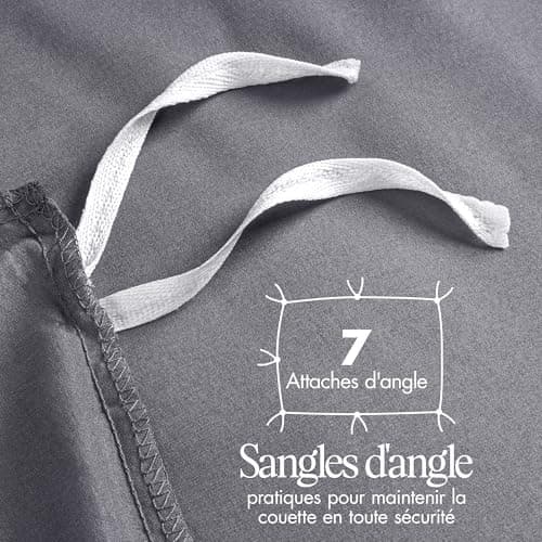Utopia Bedding Housse de Couette 220x240 cm avec 2 Taies d'oreiller 65x65 cm (Gris) - Parure de lit 220 x 240 cm - Ensembles de Housses de Couette en Microfibre brossée Douce