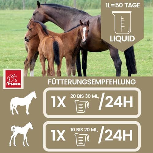 Vitamine b Complexe Cheval I Multivitamines pour Chevaux - Chevaux vitamines avec Vitamine C K B1 B2 B6 B12 Zinc Cheval I B vitamines Complexe système immunitaire VIT b Jument Poulain Nourriture 1L