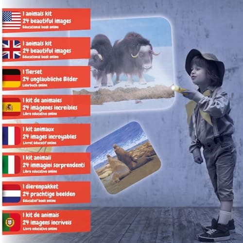 Science4you Lampe Torche et Projecteur Animaux pour Enfants 4+ Ans - Veilleuse avec 24 Images et Poster Animaux, Jouet Éducatif pour Garçons et Filles
