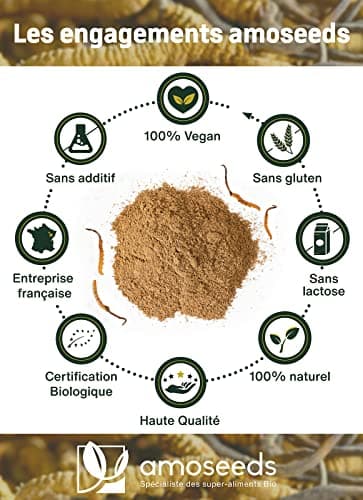 Cordyceps en Poudre Bio 50G | Qualité Supérieure | Anti-fatigue, Anti-stress, Énergie, Immunité
