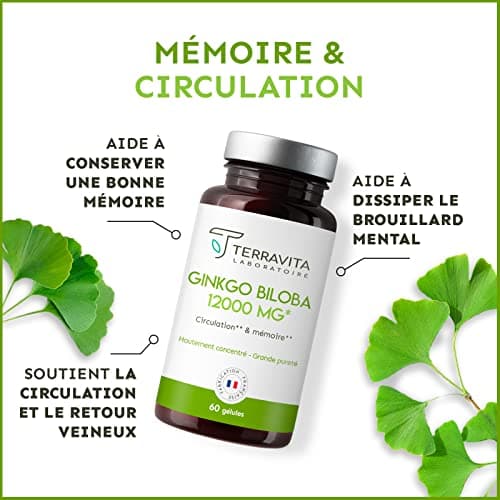 GINKGO BILOBA 12000 mg | Extrait 50:1 Hautement Dosé 6000 mg par Gélule | Booster Mémoire - Concentration - Acouphènes - Circulation Sanguine | 60 Gélules Vegan | Made in France | Terravita