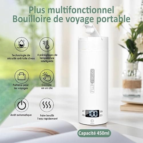 Dreamhigh® Bouilloire de Voyage 450ml, Mini Électrique 300W, Chauffe Eau Portable pour Café, Lait, Thé (220V)