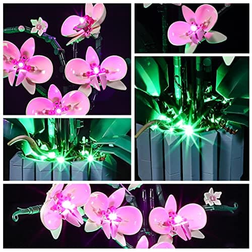 YEABRICKS LED Lumière pour Lego-10311 Creator Orchid Modèle de Blocs de Construction (Ensemble Lego Non Inclus)