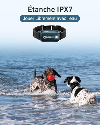 ABBIDOT Collier De Dressage pour Chien - Portée De 1000m, 5 Modes avec Choc Statique Pour 2 Chiens, Rechargeable IPX7 étanche Collier électronique pour Petits Chiens Moyens Grands Chiens (6~55 Kg)Bleu