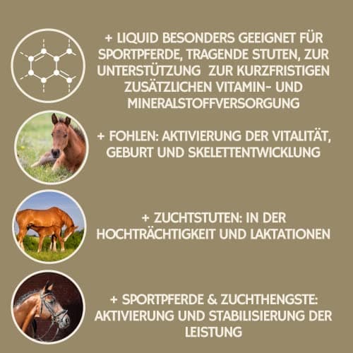 Vitamine b Complexe Cheval I Multivitamines pour Chevaux - Chevaux vitamines avec Vitamine C K B1 B2 B6 B12 Zinc Cheval I B vitamines Complexe système immunitaire VIT b Jument Poulain Nourriture 1L