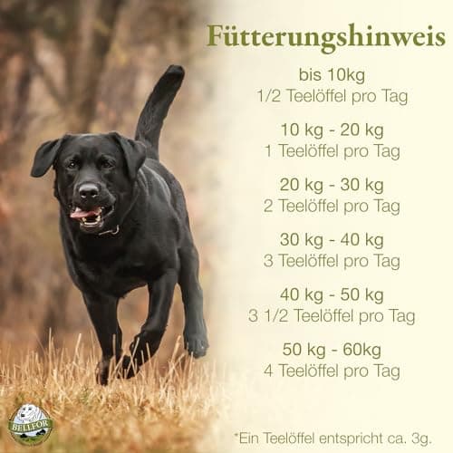 Vermifuge Naturel pour Chien Vermal de Bellfor - 80 g. Prophylaxie Contre Les Infestations de vers avec Farine de Coco et Graines de Courge, Renforce Le Système Immunitaire.