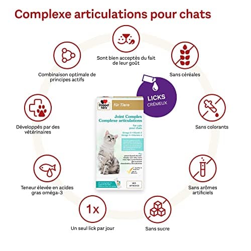 Doppelherz Complexe articulations pour Chats, Soutien du métabolisme des articulations en Cas d’ostéoarthrose, Acides Gras oméga-3, vitamines E et A, 25 Licks