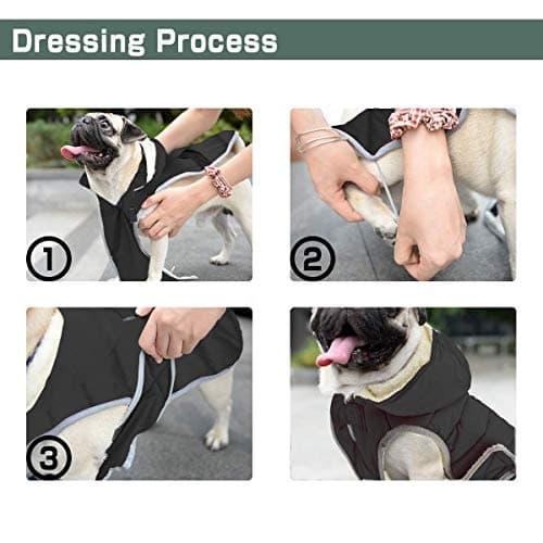 Etechydra Manteau Chien Veste Gilet Chaud de avec Chapeau Détachable, Confortable d'hiver Imperméable Vêtement Chien Doublure en Polaire Chaude Hiver-Coat Manteaux, Black Gris XS.