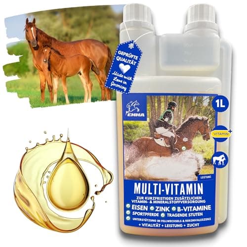 Vitamine b Complexe Cheval I Multivitamines pour Chevaux - Chevaux vitamines avec Vitamine C K B1 B2 B6 B12 Zinc Cheval I B vitamines Complexe système immunitaire VIT b Jument Poulain Nourriture 1L