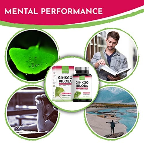 VROODY Vegan Extrait de ginkgo biloba à dose élevée - Associé à la vitamine B12, il contribue à réduire la fatigue et l’épuisement - 365 petits comprimés faciles à prendre