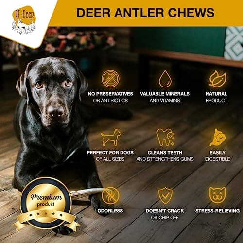 RF - Deer Bois de Cerf élaphe XXL, Soft 1 pièce 100% Naturel Bâtonnets Jouets à mâcher naturels pour Chien, Mâcher des os pour Le Plaisir et Les Soins dentaires, favorisant l'hygiène Dentaire