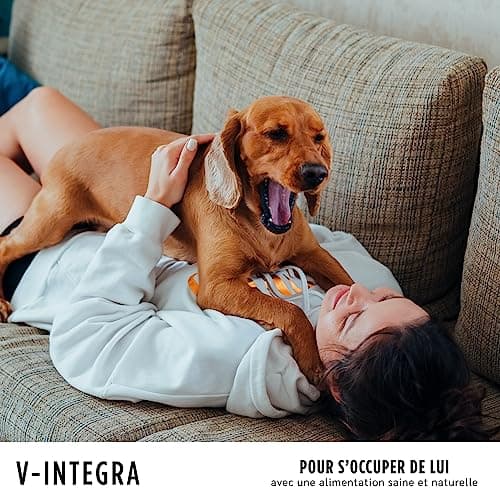 V-INTEGRA Chien Adulte - Supplément Complet Riche en vitamines et minéraux pour la Ration ménagère et Barf des Chiens Adultes - 500 g - Produit en Italie