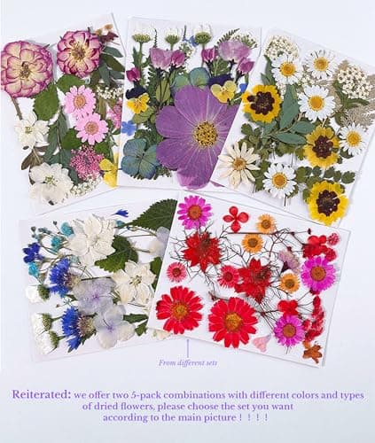 Gugxiom Fleurs Pressées Séchées pour Résine, 5 Sacs de 100 Fleurs Pressées, 5 Thèmes de Couleurs, Fleurs Sèches pour Nail Art, Résine, Conception de Bijoux DIY, Coques de (Type 2)