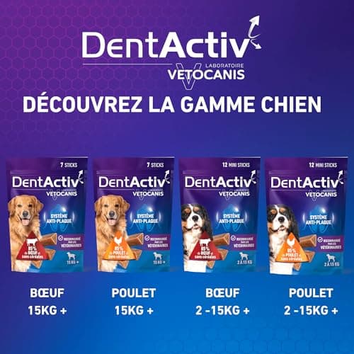 Vetocanis | Dentactiv | Stick Dentaire Chien | Friandises pour Chien Gourmandes | pour l'Hygiène et Santé du Chien | Riche en Viande | 85% de Boeuf | Recommandé par Les Vétérinaires | Chien 2 à 15 kg